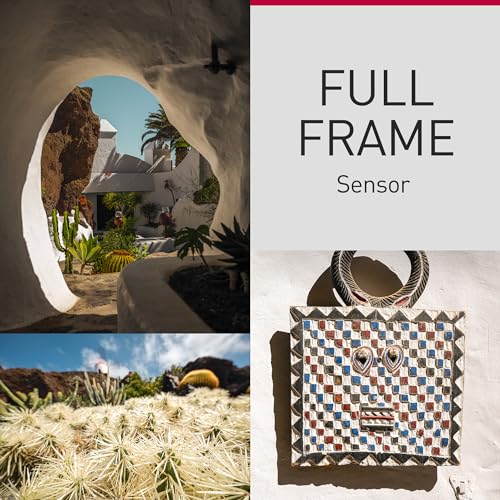 LUMIX S9 Full Frame Camera with 20-60mm F3.5-5.6 L Mount Lens, Compact Mirrorless Camera for Content Creators with Real Time LUT, Open Gate and Easy Sharing of Photos & Video – DC-S9KK (Black)